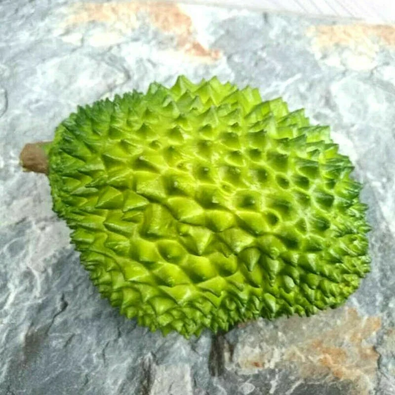 Simulation Durian Artificial Fake Fruit Handmade Lifelike DIY Home Kitchen Decor Fake Fruit Model Mold Photo Prop
Simulation Durian Artificial Fake Fruit Handmade Lifelike DIY Home Kitchen Decor Fake Fruit Model Mold Photo Prop