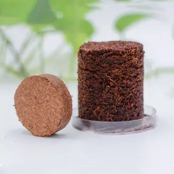 Mini Bonsai Nutritious Soil Cat Grass Meaty Potted Coconut Husk Powder Low Salt
Mini Bonsai Nutritious Soil Cat Grass Meaty Potted Coconut Husk Powder Low Salt