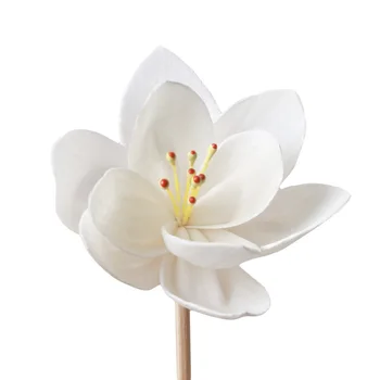 10Pcs/set Aromatherapy Orchids Sola Flower Home Decoration Simulation Flower for Reed Diffuser
10Pcs/set Aromatherapy Orchids Sola Flower Home Decoration Simulation Flower for Reed Diffuser