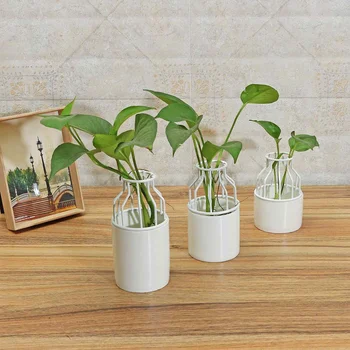Nordic Style Ceramic Flower Pot Planter Iron Frame Plant Holder Green Plant Flower Pot Desk Office Decoration Ornament
Nordic Style Ceramic Flower Pot Planter Iron Frame Plant Holder Green Plant Flower Pot Desk Office Decoration Ornament