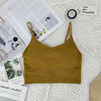 Women sexy sheer lace bra top Seamless Bralette Intimates Transparent Cup Wireless Bras
Women sexy sheer lace bra top Seamless Bralette Intimates Transparent Cup Wireless Bras