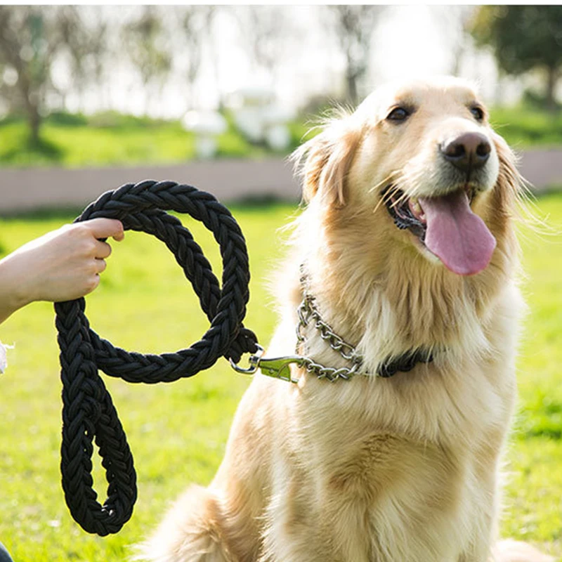 Nylon Dog Leash Metal P Chain Buckle Dog Collars Leash Set German Shepherd Husky Alaska Labrador Large Dog Leash Traction Rope
Nylon Dog Leash Metal P Chain Buckle Dog Collars Leash Set German Shepherd Husky Alaska Labrador Large Dog Leash Traction Rope