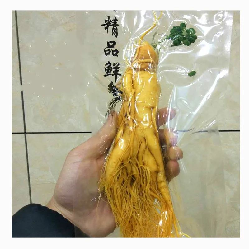 Chang bai Fresh Ginseng Root 300g top Grade Vacuum Pack Panax ginseng Root 8 Years Old Herbal skin care beauty use
Chang bai Fresh Ginseng Root 300g top Grade Vacuum Pack Panax ginseng Root 8 Years Old Herbal skin care beauty use