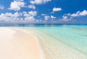 Vlogs Clean Sea beach photo backgrounds vinyl portrait summer photography backdrops for photographic studio accessories lv-1251
Vlogs Clean Sea beach photo backgrounds vinyl portrait summer photography backdrops for photographic studio accessories lv-1251