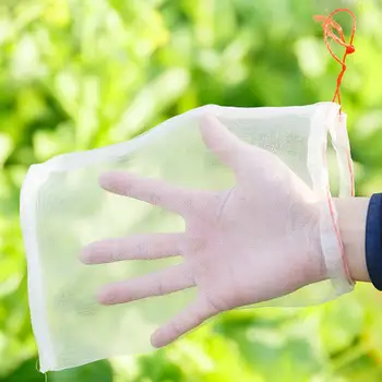 100pcs Garden Plant Fruit Protect Drawstring Net Bag Against Insect Pest Bird Nylon Mesh Bag Fruit Insect-proof Bag Bird-proof
100pcs Garden Plant Fruit Protect Drawstring Net Bag Against Insect Pest Bird Nylon Mesh Bag Fruit Insect-proof Bag Bird-proof