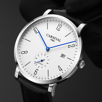 Carnival 8017G