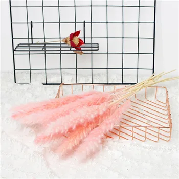 HOT 15 Pcs Dried Small Pampas Grass Phragmites Communis Decoration for Home Hotel Wedding
HOT 15 Pcs Dried Small Pampas Grass Phragmites Communis Decoration for Home Hotel Wedding