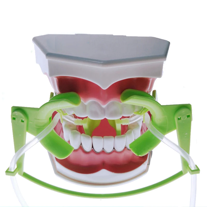 Dental Cheek Retractor Oral Dry Field System Prop Support With Salive Ejector Suction Intraoral Bleaching Orthodontic Equipment
Dental Cheek Retractor Oral Dry Field System Prop Support With Salive Ejector Suction Intraoral Bleaching Orthodontic Equipment