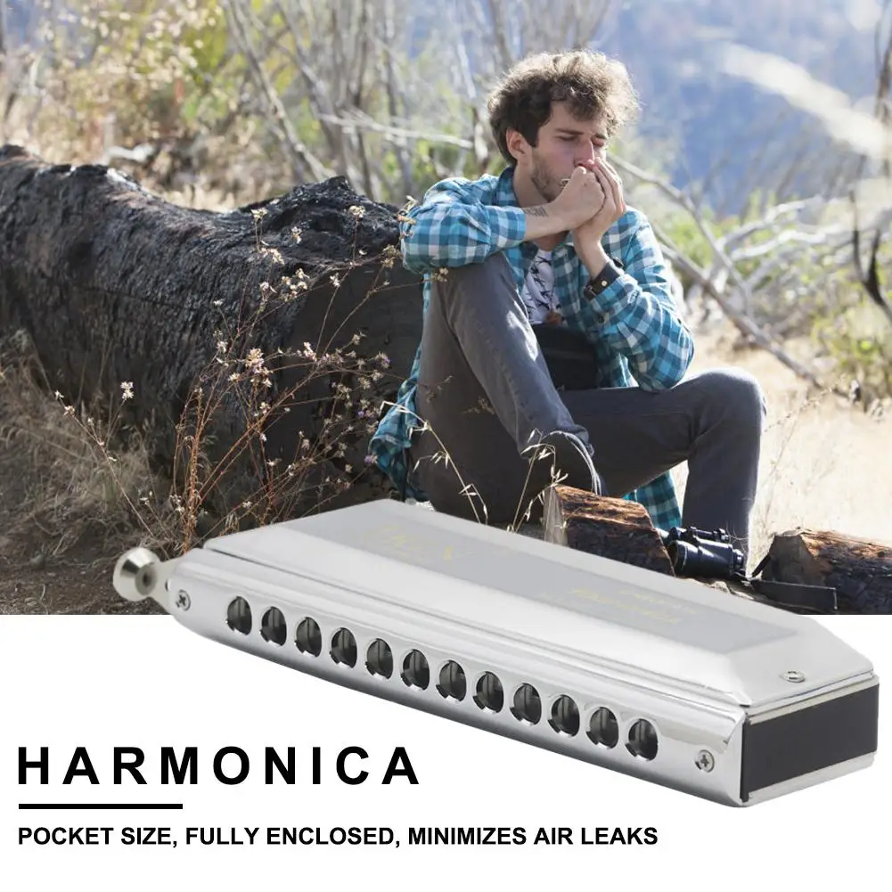 12 Holes Harmonica Chromatic 48 Tone Harp Instrumentos Mouth Organs Harmonica Blues Musical Instruments
12 Holes Harmonica Chromatic 48 Tone Harp Instrumentos Mouth Organs Harmonica Blues Musical Instruments