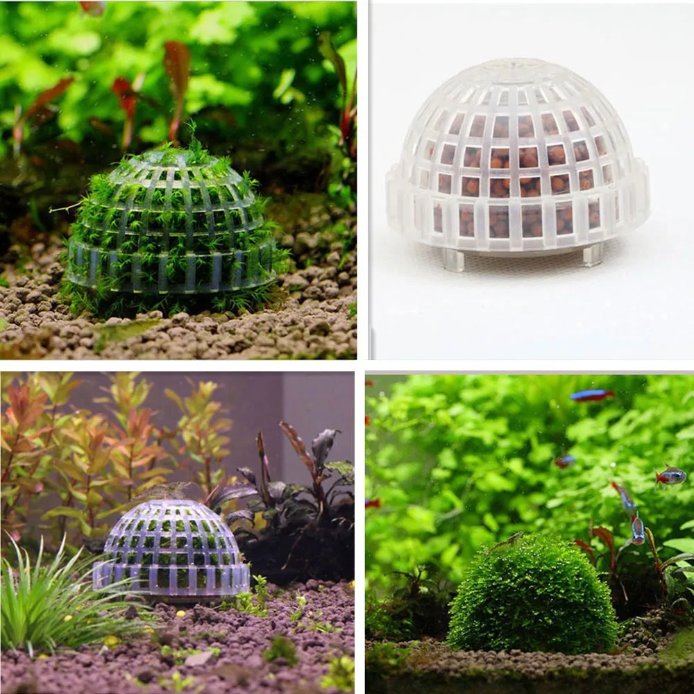 Mineral Stone Suspended Float Moss Ball Fish Tank Aquascape Crystal Red Shrimp Live Plant Cultivation Holder House Landscape
Mineral Stone Suspended Float Moss Ball Fish Tank Aquascape Crystal Red Shrimp Live Plant Cultivation Holder House Landscape
