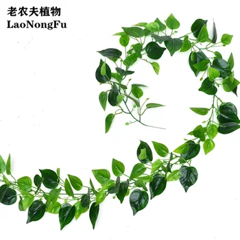 Model Grape Leaves Rattan Handfeel Lamination Decoration Leaf with Iron Wire Hard Rattan-Modeling Air Conditioner Pipeline Windi
Model Grape Leaves Rattan Handfeel Lamination Decoration Leaf with Iron Wire Hard Rattan-Modeling Air Conditioner Pipeline Windi
