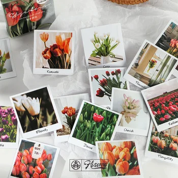JIANWU 40pcs Boxed Stickers Ins Basic Handbook Material Sticker Scrapbook Diary journal personalized stickers Stationery
JIANWU 40pcs Boxed Stickers Ins Basic Handbook Material Sticker Scrapbook Diary journal personalized stickers Stationery