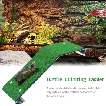 Landscaping Reptile Climbing Platform Turtle Basking Aquarium Amphibian Aquatic Climb Tank Staircase Floating Platform S/M/L
Landscaping Reptile Climbing Platform Turtle Basking Aquarium Amphibian Aquatic Climb Tank Staircase Floating Platform S/M/L