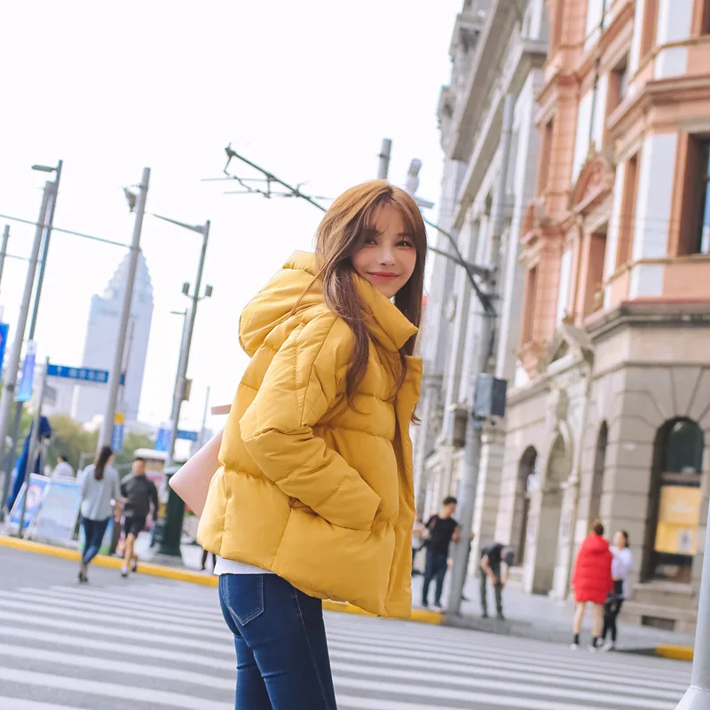 Large Cargo 2017 Autumn And Winter New Style Korean-style WOMEN'S Wear Thick Four Colors down Coat Cotton-padded Clothes Women's 
Large Cargo 2017 Autumn And Winter New Style Korean-style WOMEN'S Wear Thick Four Colors down Coat Cotton-padded Clothes Women's