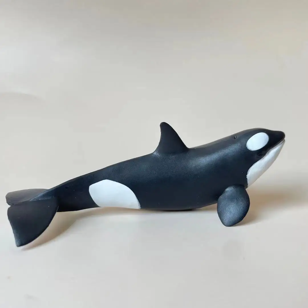 Genuine French PAPO Simulation Marine Life Killer Whale Model Toy Home Decoration Figure Model Toys
Genuine French PAPO Simulation Marine Life Killer Whale Model Toy Home Decoration Figure Model Toys