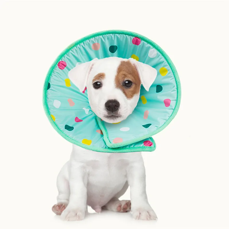 Pet Elizabethan Collar Dog Cat Adjustable Circle Cover Anti Bite Pet Feeding Medicine Beauty Healing Brace Cover Pet Accessories
Pet Elizabethan Collar Dog Cat Adjustable Circle Cover Anti Bite Pet Feeding Medicine Beauty Healing Brace Cover Pet Accessories