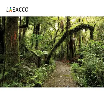 Laeacco Forest Backgrounds For Photography Old Tree Moss Shrub Rain Forest Way Scenic Photo Backdrops Photocall Photo Studio
Laeacco Forest Backgrounds For Photography Old Tree Moss Shrub Rain Forest Way Scenic Photo Backdrops Photocall Photo Studio
