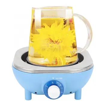 Food Steamer 500W Household Kitchen Portable Plugging in Electric Heating Stove Mini Stove EU Plug 230V vaporera cocina
Food Steamer 500W Household Kitchen Portable Plugging in Electric Heating Stove Mini Stove EU Plug 230V vaporera cocina