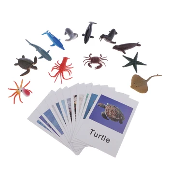 Montessori Matching Cards & Ocean Animal Figures - Set of 12 - Early Learning Manipulative for Kids
Montessori Matching Cards & Ocean Animal Figures - Set of 12 - Early Learning Manipulative for Kids