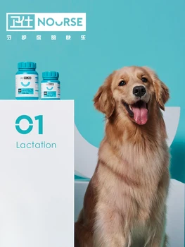 160 pet milk calcium tablets, bone calcium supplements for puppies, big dogs, small Teddy calcium powder
160 pet milk calcium tablets, bone calcium supplements for puppies, big dogs, small Teddy calcium powder