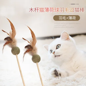 Cat Teaser Catnip Ball Feather Cat Playing Rod Wooden Handle Interactive Training Cat Pole for Playing with Cat
Cat Teaser Catnip Ball Feather Cat Playing Rod Wooden Handle Interactive Training Cat Pole for Playing with Cat