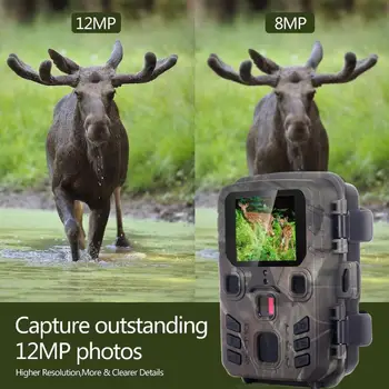 Mini Trail Camera Hunting Game 12MP 1080P Outdoor Wildlife Scouting Hunting Camera With PIR Sensor 0.45s Fast Trigger
Mini Trail Camera Hunting Game 12MP 1080P Outdoor Wildlife Scouting Hunting Camera With PIR Sensor 0.45s Fast Trigger