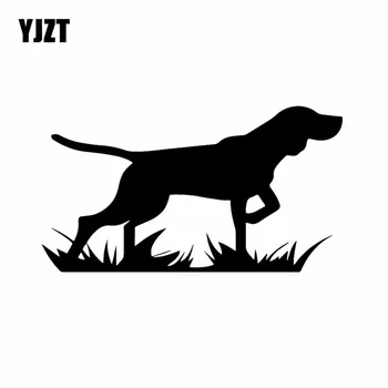 YJZT 16X8.9CM Bird Dog Hunting Pointer On Point! Vinyl Decal Car Sticker Window Tailgate Black/Silver C24-1279
YJZT 16X8.9CM Bird Dog Hunting Pointer On Point! Vinyl Decal Car Sticker Window Tailgate Black/Silver C24-1279