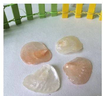 Conch shells wedding platform decoration fish tank accessories kauri schelpen 100 stuks 
Conch shells wedding platform decoration fish tank accessories kauri schelpen 100 stuks