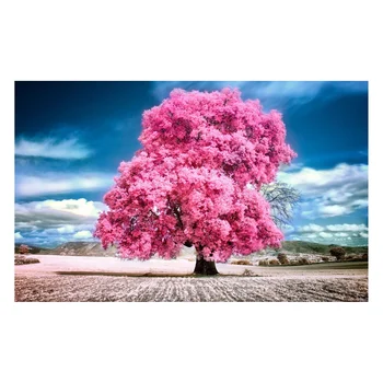 DIY Wall Art pictures Landscape coloring By Numbers DIY Oil Painting By Numbers Handed Paint Home Decorate Kits Drawing Canvas
DIY Wall Art pictures Landscape coloring By Numbers DIY Oil Painting By Numbers Handed Paint Home Decorate Kits Drawing Canvas