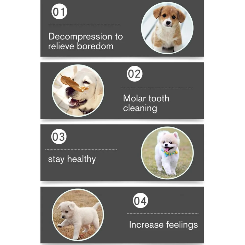 FYP390805-C-20042303-1