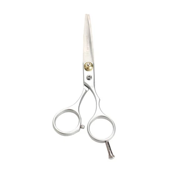 Hot Professional Silver Barber Stainless Steel Regular Hair Thinning Scissors Salon Hairdressing Shears Tool Free Shipping
Hot Professional Silver Barber Stainless Steel Regular Hair Thinning Scissors Salon Hairdressing Shears Tool Free Shipping