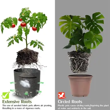 Practical Black Plant Bag Plant Grow Bags Sweet Potato Spring Garden Patio Storage Container Creative Nonwoven Vegetable Balcony
Practical Black Plant Bag Plant Grow Bags Sweet Potato Spring Garden Patio Storage Container Creative Nonwoven Vegetable Balcony