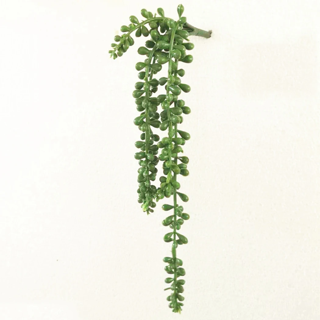 Artificial Succulents Pearls Fleshy Green Vine Flowers Hanging Rattan Wall Garden Decoration Flower Lover Tears Succulent Plants
Artificial Succulents Pearls Fleshy Green Vine Flowers Hanging Rattan Wall Garden Decoration Flower Lover Tears Succulent Plants