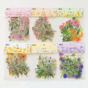6 Style Choose 40PCS /Bag Flower Garden PVC Sticker Adhesive Craft Notebook Diary Bottle DIY Decoration
6 Style Choose 40PCS /Bag Flower Garden PVC Sticker Adhesive Craft Notebook Diary Bottle DIY Decoration
