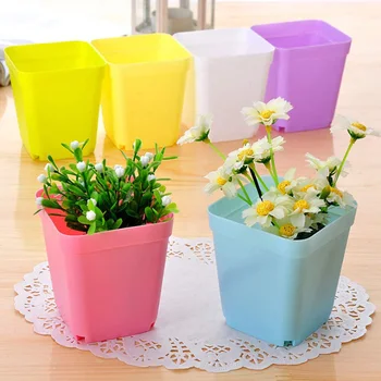 24PCS Mini Square Plastic Plant Flower Pot Planter Colorful With Pots Trays Plastic Mini Flower Pot Fleshy Small Square Pot
24PCS Mini Square Plastic Plant Flower Pot Planter Colorful With Pots Trays Plastic Mini Flower Pot Fleshy Small Square Pot