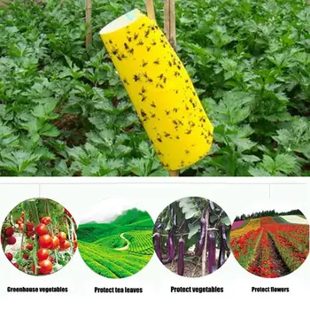 Yellow Board Bugs Sticky Board Double Side Yard Convenient Strong Flies Traps Pest Killer Fungus Economic
Yellow Board Bugs Sticky Board Double Side Yard Convenient Strong Flies Traps Pest Killer Fungus Economic