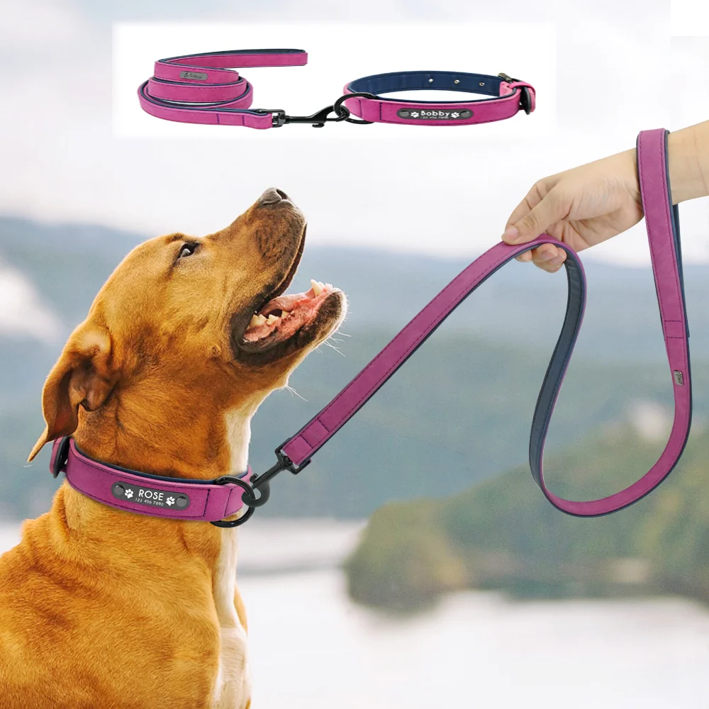 Leather Custom Dog Collars Personalized Pet Dog ID Tag Collar Lead For Small Medium Large Chien Pitbull German Shepherd Leash
Leather Custom Dog Collars Personalized Pet Dog ID Tag Collar Lead For Small Medium Large Chien Pitbull German Shepherd Leash
