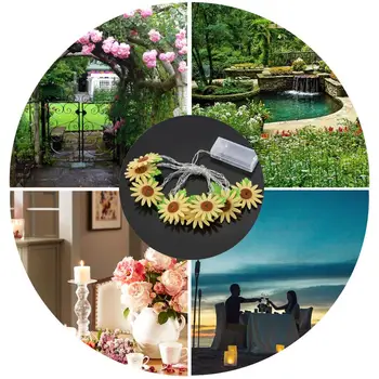 Fairy Lights Light String Sunflowers Non Woven Cloth Lighting Fixture Outdoor Decor Home Garden Christmas Supply Xmas Romantic
Fairy Lights Light String Sunflowers Non Woven Cloth Lighting Fixture Outdoor Decor Home Garden Christmas Supply Xmas Romantic