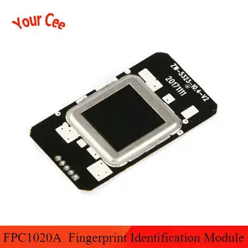 FPC1020A Capacitive Fingerprint Identification Module Semiconductor Capacitive Fingerprint Module
FPC1020A Capacitive Fingerprint Identification Module Semiconductor Capacitive Fingerprint Module