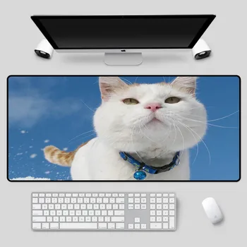 XGZ Exquisite multi-size animal mouse pad with cute cat pattern as a table mat, high-quality computer keyboard mat
XGZ Exquisite multi-size animal mouse pad with cute cat pattern as a table mat, high-quality computer keyboard mat