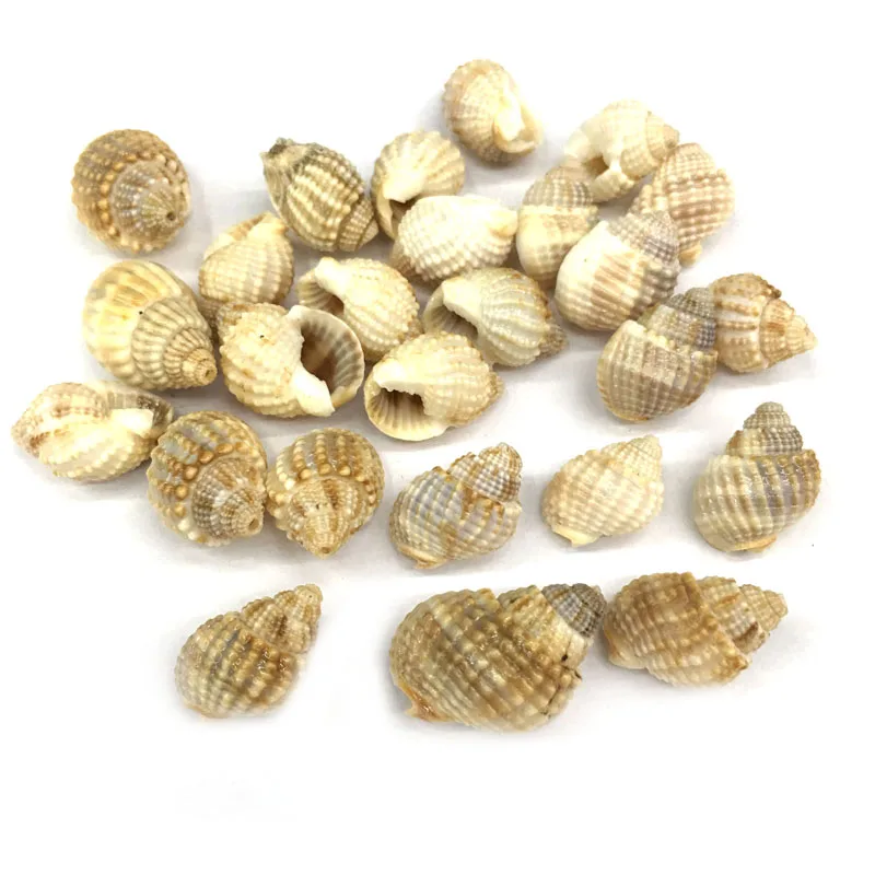 Natural shell fashion Conch Pendants Exquisite Charms for Jewelry Making DIY Bracelet Necklaces earring Accessories Size 14x17mm
Natural shell fashion Conch Pendants Exquisite Charms for Jewelry Making DIY Bracelet Necklaces earring Accessories Size 14x17mm