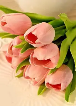 Wedding Decoration Artifical Decor PU Home Centerpieces & Table Decor Decoration Tulips White Flower 10Pcs Party Centerpiece
Wedding Decoration Artifical Decor PU Home Centerpieces & Table Decor Decoration Tulips White Flower 10Pcs Party Centerpiece