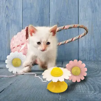 Multifunction Pet Cat Toys Catnip Ball Cats Kitten Chew Toy LED Glowing Rotating Cat Interactive Toy Cat Hair Self Grooming Comb
Multifunction Pet Cat Toys Catnip Ball Cats Kitten Chew Toy LED Glowing Rotating Cat Interactive Toy Cat Hair Self Grooming Comb