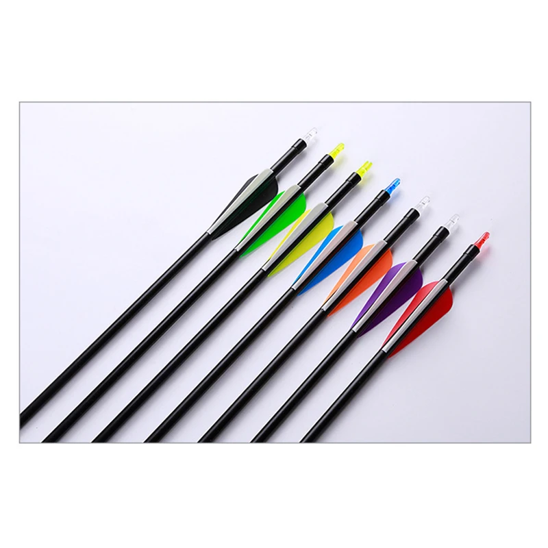 10/20pcs New Fiberglass Arrows With Replaceable Arrowhead For Recurve/Compound Bows Archery Hunting Shooting With Multiple Color
10/20pcs New Fiberglass Arrows With Replaceable Arrowhead For Recurve/Compound Bows Archery Hunting Shooting With Multiple Color