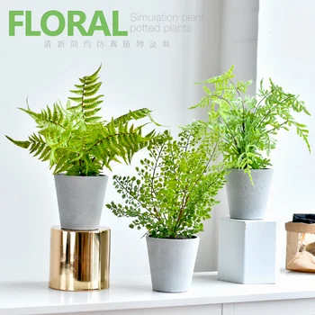 5 kinds Ins Modern Home Indoor Office Plant Bonsai Simulation Green Plant Potted Nordic Minimalist Decorative Ornaments
5 kinds Ins Modern Home Indoor Office Plant Bonsai Simulation Green Plant Potted Nordic Minimalist Decorative Ornaments