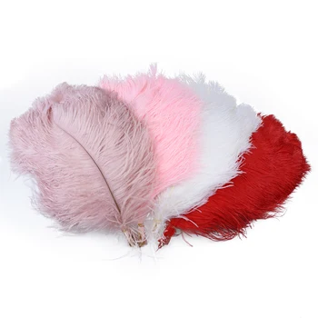 Fluffy Leather Pink Ostrich Feathers 40-45 CM/16-18 Inches Ostrich Feather For Diy Wedding Party Home Decoration Craft Plumes
Fluffy Leather Pink Ostrich Feathers 40-45 CM/16-18 Inches Ostrich Feather For Diy Wedding Party Home Decoration Craft Plumes
