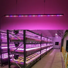 Factory Wholesale Hydroponics Urban Vertical Farming Flower Fruit Plant Grow Led Strip Light
Factory Wholesale Hydroponics Urban Vertical Farming Flower Fruit Plant Grow Led Strip Light