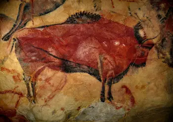 Bison Cave Painting from Cave of Altamira, Spain oil paintings canvas art Prints Wall Art For Living Room Bedroom Decor
Bison Cave Painting from Cave of Altamira, Spain oil paintings canvas art Prints Wall Art For Living Room Bedroom Decor
