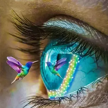 5d Diy Diamond Painting Hummingbird, eyes Full Drill Square Round Diamond Embroidery rhinestones mosaic Home Decor Accessories
5d Diy Diamond Painting Hummingbird, eyes Full Drill Square Round Diamond Embroidery rhinestones mosaic Home Decor Accessories