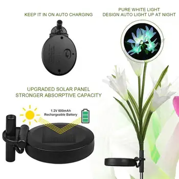 Garden Lamp Light Lily LED Gift Gardening Landscape Lamp Waterproof Solar Decoration Flower Beautiful Home Yard Lawn Light
Garden Lamp Light Lily LED Gift Gardening Landscape Lamp Waterproof Solar Decoration Flower Beautiful Home Yard Lawn Light